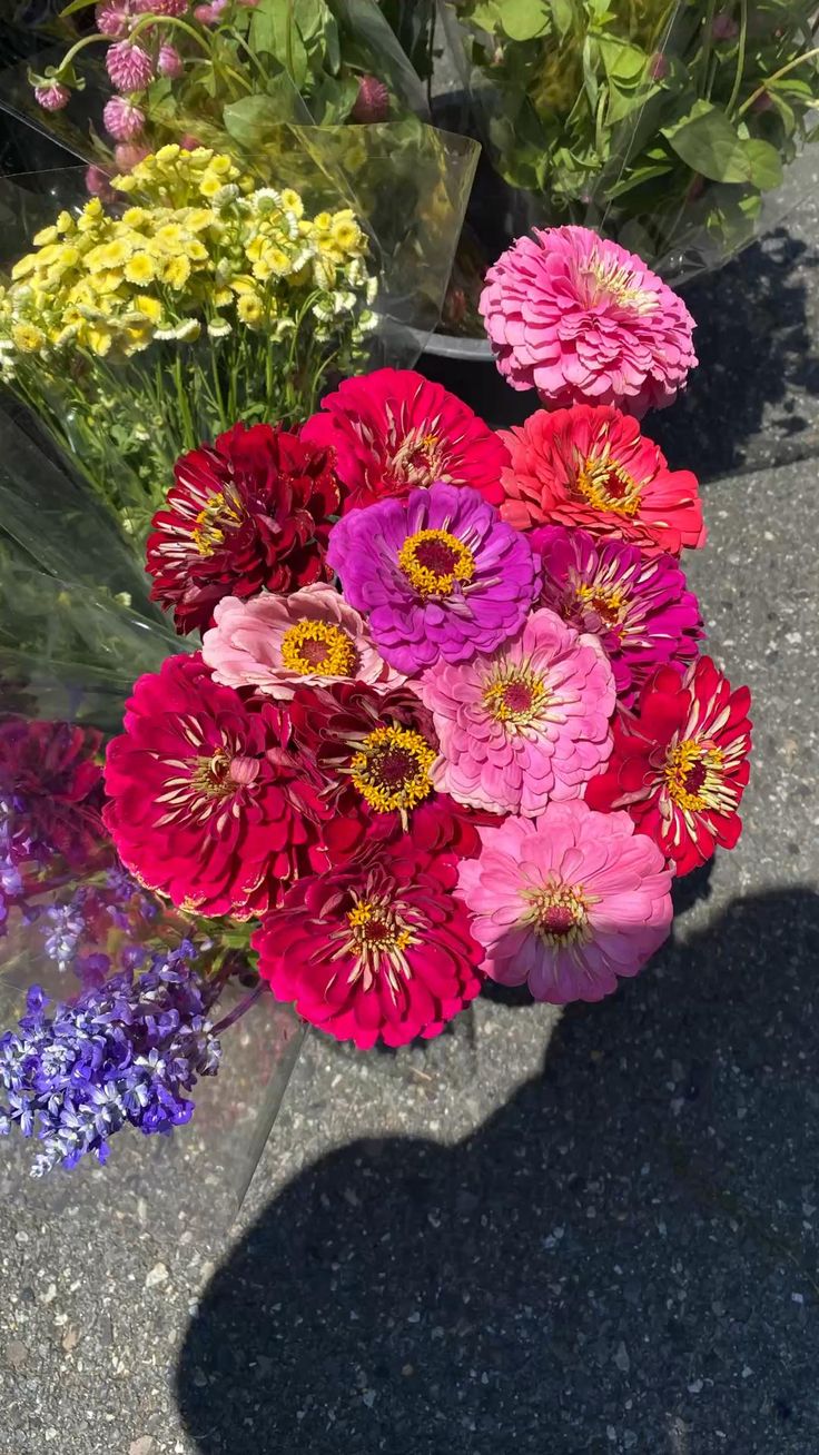 Flower2