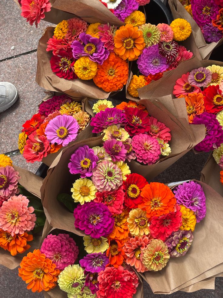 Summerflower
