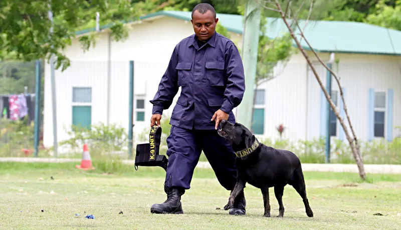 Security Patrols