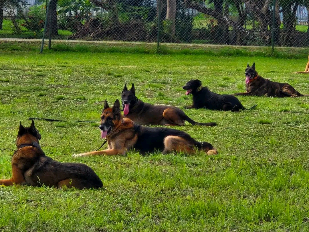 Training Image 3