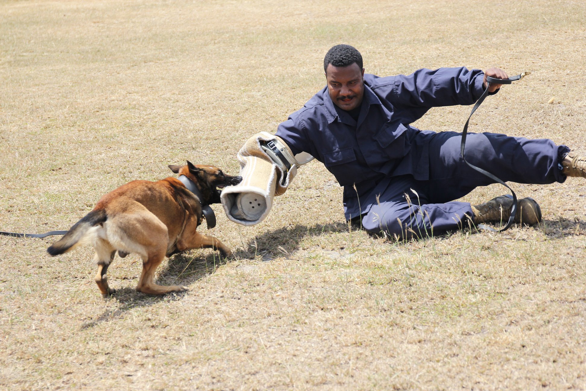 Training Image 2