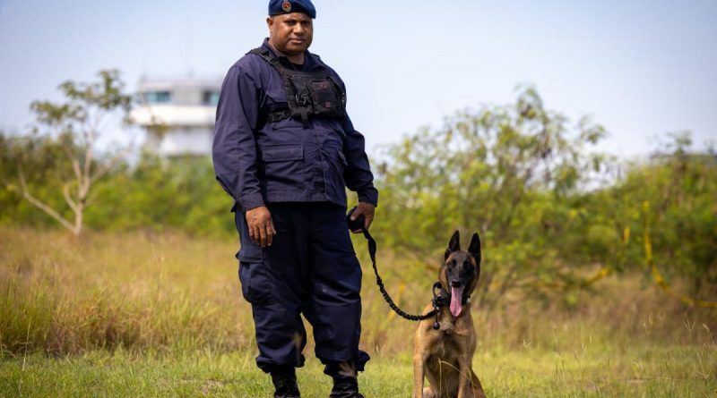 Detection Services
