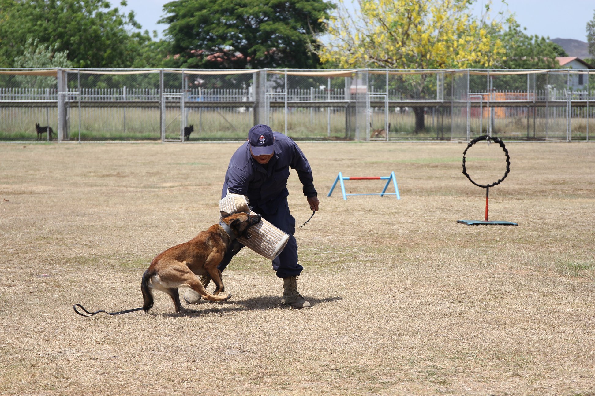 Training Programs