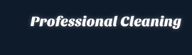 professionalcleaning